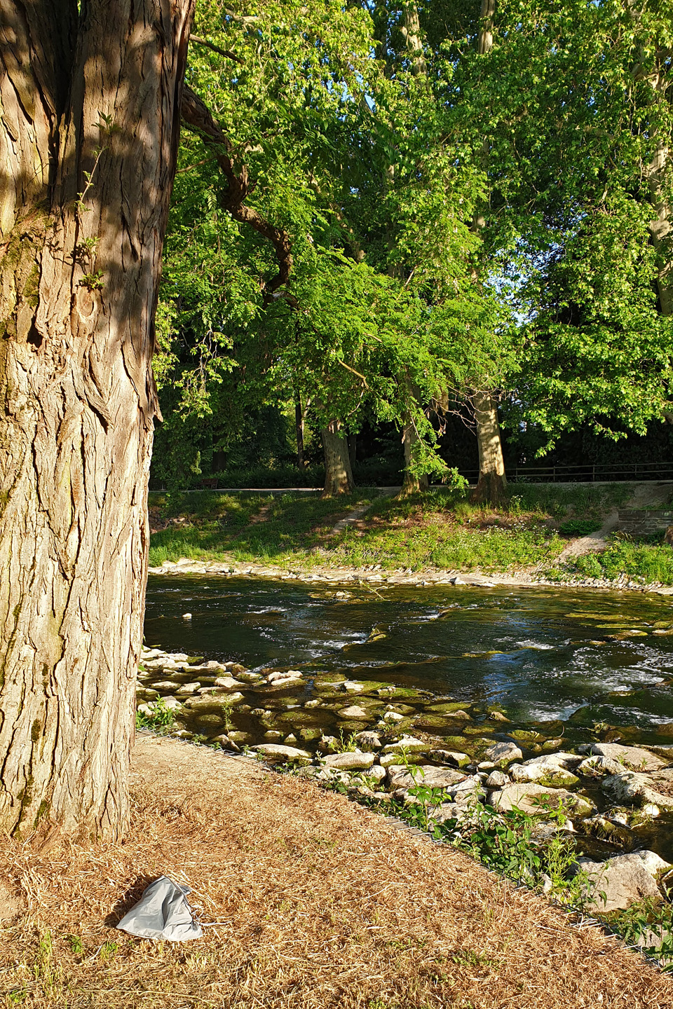 Sonniger Lieblingsplatz an der Ahr in Bad Neuenahr